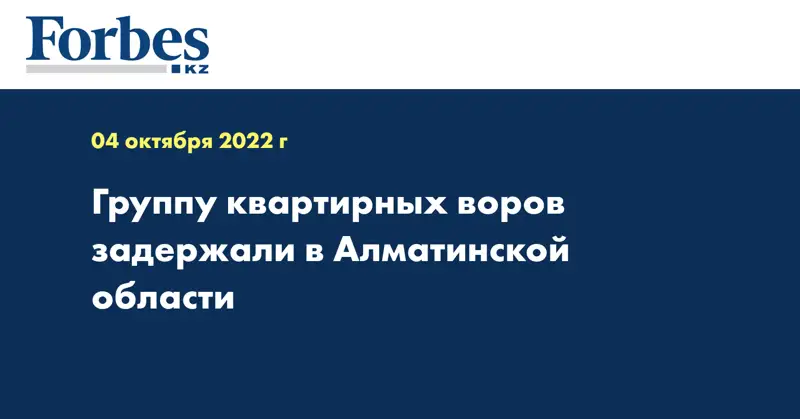 Группу квартирных воров задержали в Алматинской области