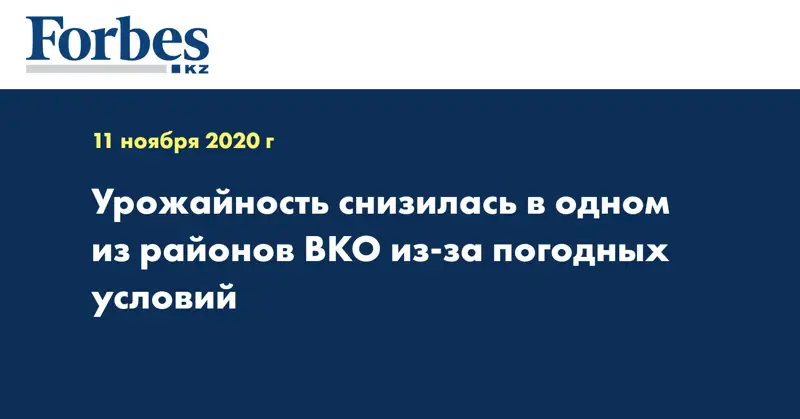 Урожайность снизилась в одном из районов ВКО из-за погодных условий