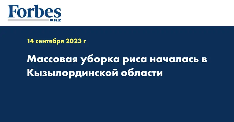 Массовая уборка риса началась в Кызылординской области