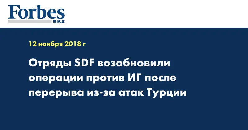 Отряды SDF возобновили операции против ИГ после перерыва из-за атак Турции