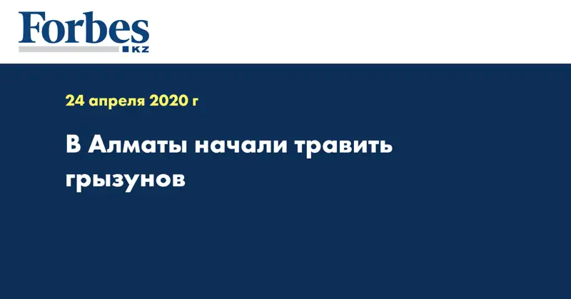 В Алматы начали травить грызунов