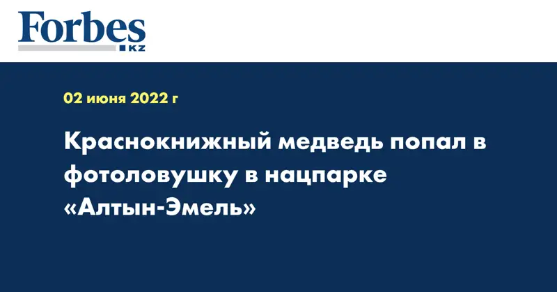 Краснокнижный медведь попал в фотоловушку в нацпарке «Алтын-Эмель»