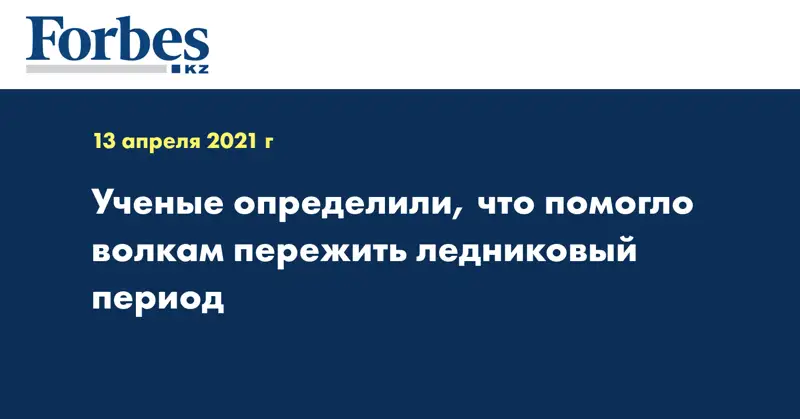Ученые определили, что помогло волкам пережить ледниковый период