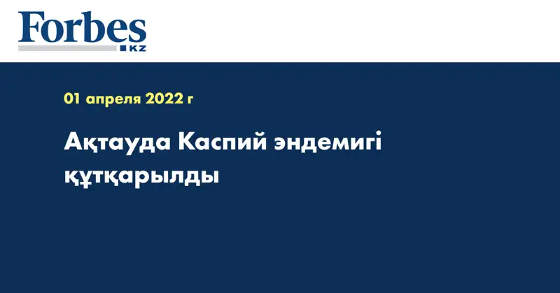 Ақтауда Каспий эндемигі құтқарылды