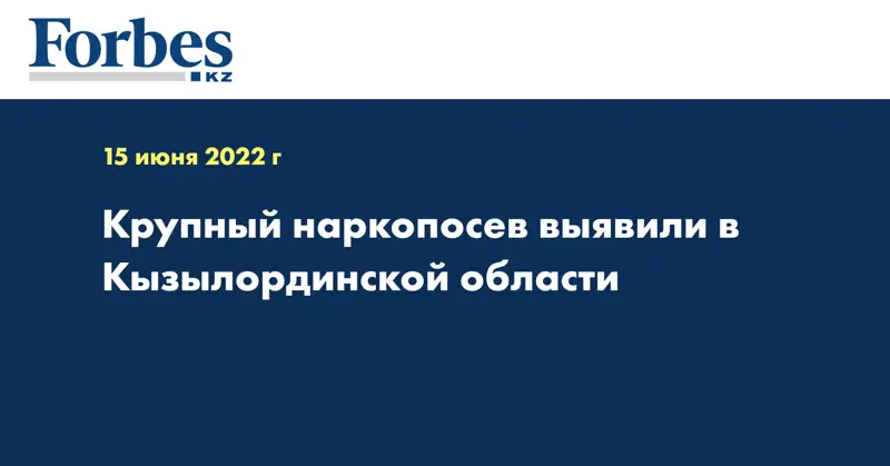 Крупный наркопосев выявили в Кызылординской области