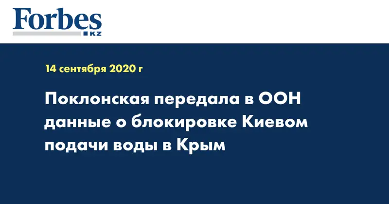 Поклонская передала в ООН данные о блокировке Киевом подачи воды в Крым