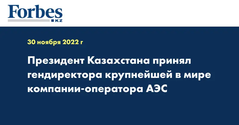 Президент Казахстана принял гендиректора крупнейшей в мире компании-оператора АЭС