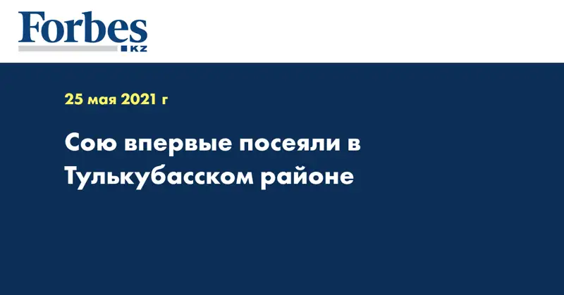 Сою впервые посеяли в Тулькубасском районе