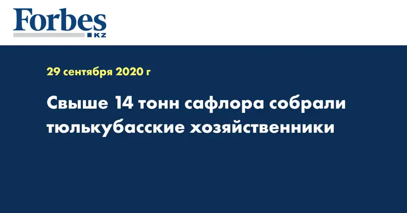 Свыше 14 тонн сафлора собрали тюлькубасские хозяйственники