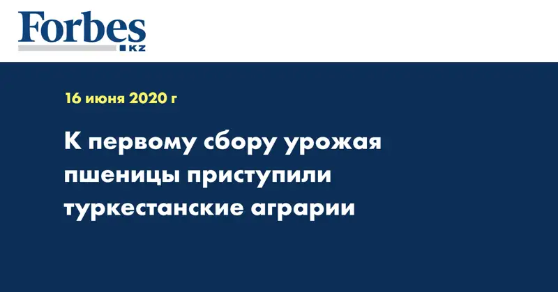 К первому сбору урожая пшеницы приступили туркестанские аграрии