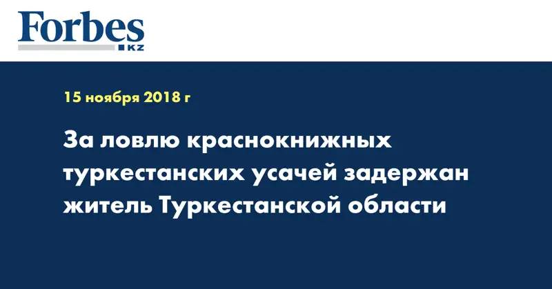 За ловлю краснокнижных туркестанских усачей задержан житель Туркестанской области