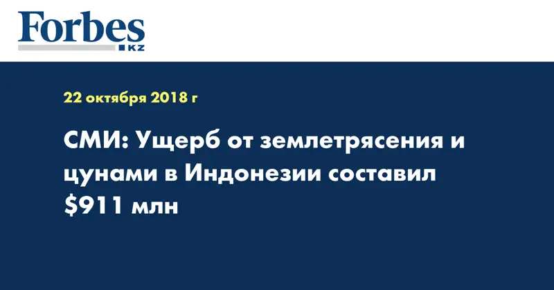 СМИ: Ущерб от землетрясения и цунами в Индонезии составил $911 млн