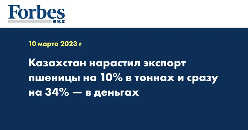Казахстан нарастил экспорт пшеницы на 10% в тоннах и сразу на 34% — в деньгах