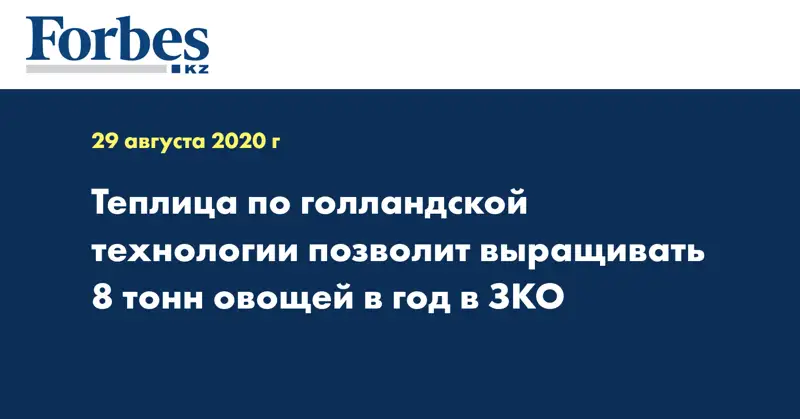 Теплица по голландской технологии позволит выращивать 8 тонн овощей в год в ЗКО