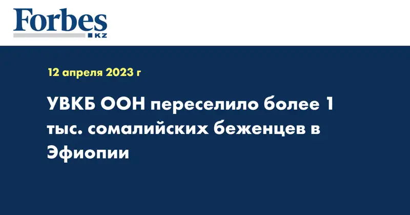 УВКБ ООН переселило более 1 тыс. сомалийских беженцев в Эфиопии