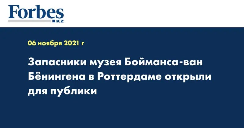 Запасники музея Бойманса-ван Бёнингена в Роттердаме открыли для публики 