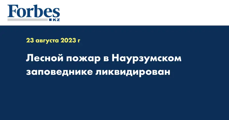 Лесной пожар в Наурзумском заповеднике ликвидирован