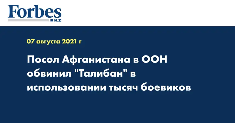 Посол Афганистана в ООН обвинил 