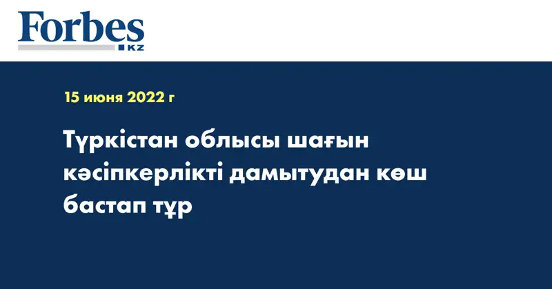 Түркістан облысы шағын кәсіпкерлікті дамытудан көш бастап тұр