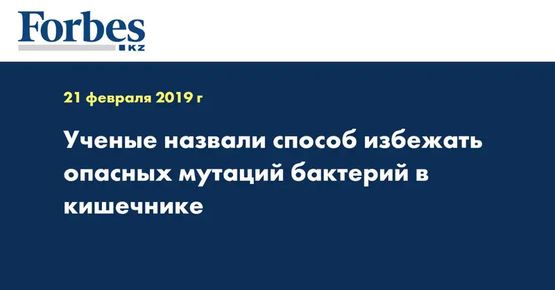 Ученые назвали способ избежать опасных мутаций бактерий в кишечнике