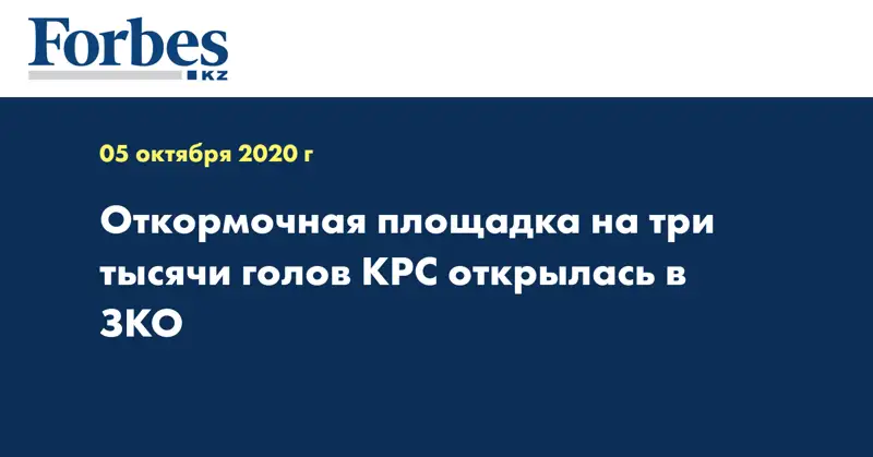 Откормочная площадка на три тысячи голов КРС открылась в ЗКО