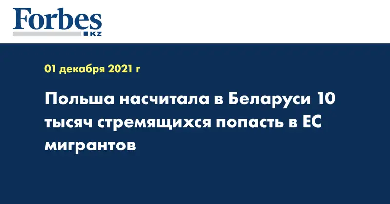 Польша насчитала в Беларуси 10 тысяч стремящихся попасть в ЕС мигрантов