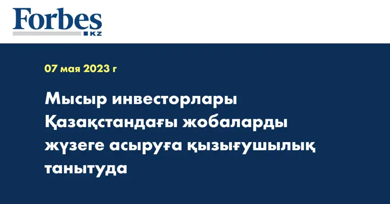 Мысыр инвесторлары Қазақстандағы жобаларды жүзеге асыруға қызығушылық танытуда