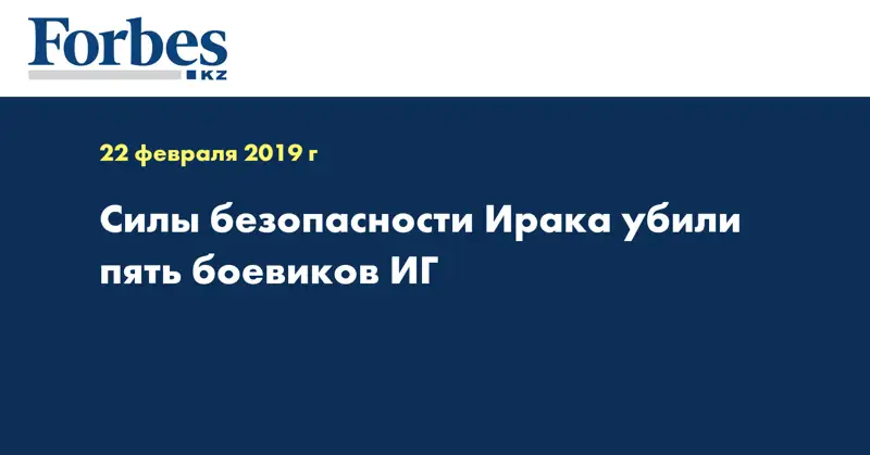 Силы безопасности Ирака убили пять боевиков ИГ