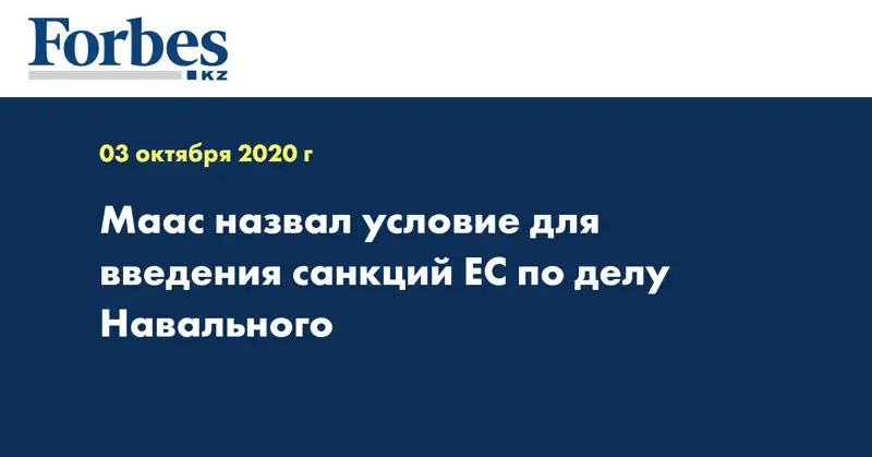 Маас назвал условие для введения санкций ЕС по делу Навального