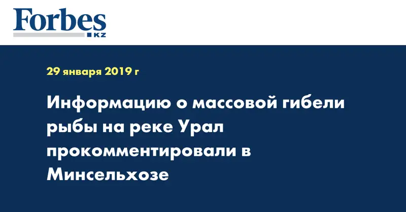 Информацию о массовой гибели рыбы на реке Урал прокомментировали в Минсельхозе