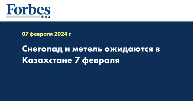 Снегопад и метель ожидаются в Казахстане 7 февраля