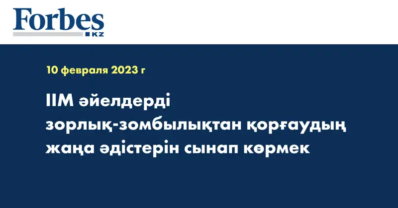 ІІМ әйелдерді зорлық-зомбылықтан қорғаудың жаңа әдістерін сынап көрмек  