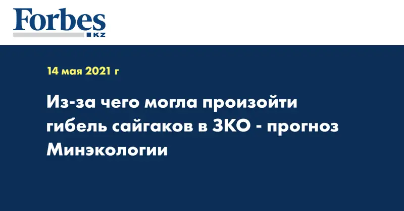 Из-за чего могла произойти гибель сайгаков в ЗКО - прогноз Минэкологии