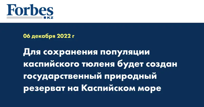 Для сохранения популяции каспийского тюленя будет создан государственный природный резерват на Каспийском море