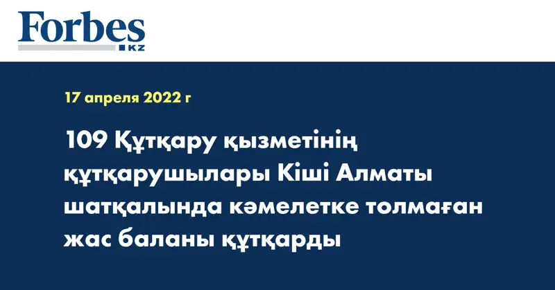 109 Құтқару қызметінің  құтқарушылары Кіші Алматы шатқалында кәмелетке толмаған жас баланы құтқарды
