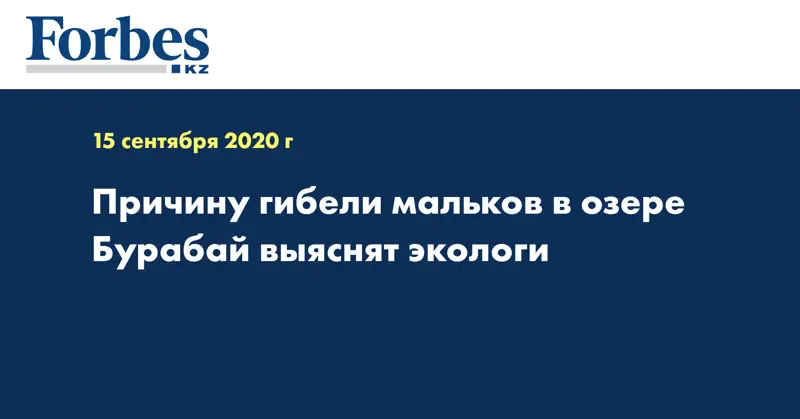 Причину гибели мальков в озере Бурабай выяснят экологи