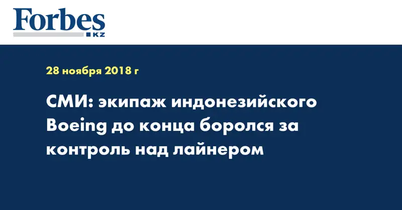 СМИ: экипаж индонезийского Boeing до конца боролся за контроль над лайнером