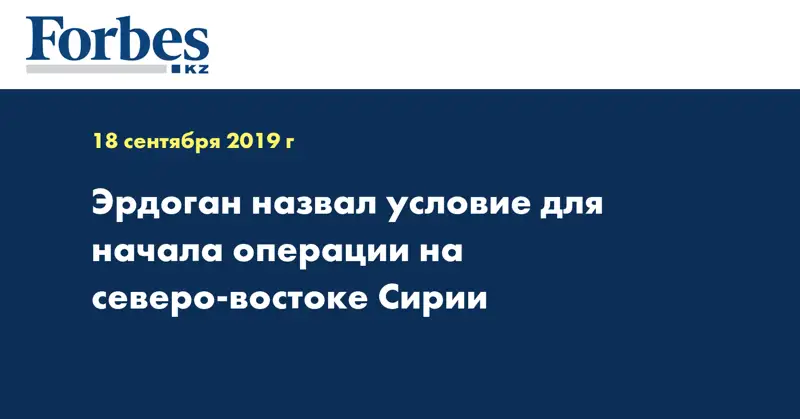 Эрдоган назвал условие для начала операции на северо-востоке Сирии