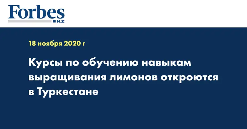  Курсы по обучению навыкам выращивания лимонов откроются в Туркестане
