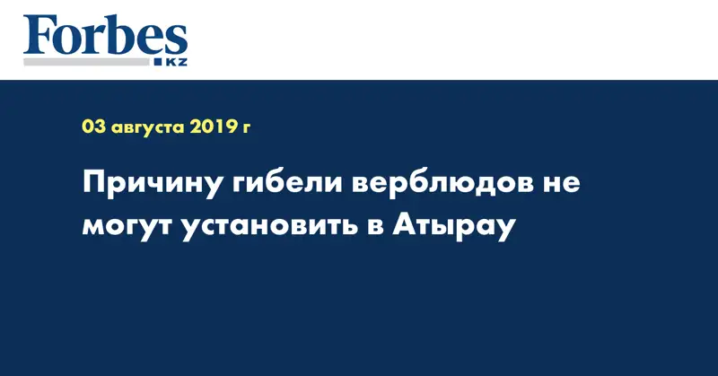 Причину гибели верблюдов не могут установить в Атырау  