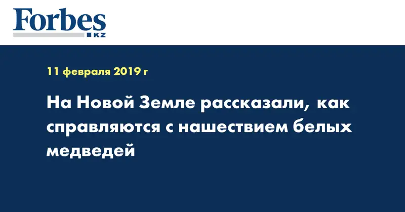 На Новой Земле рассказали, как справляются с нашествием белых медведей