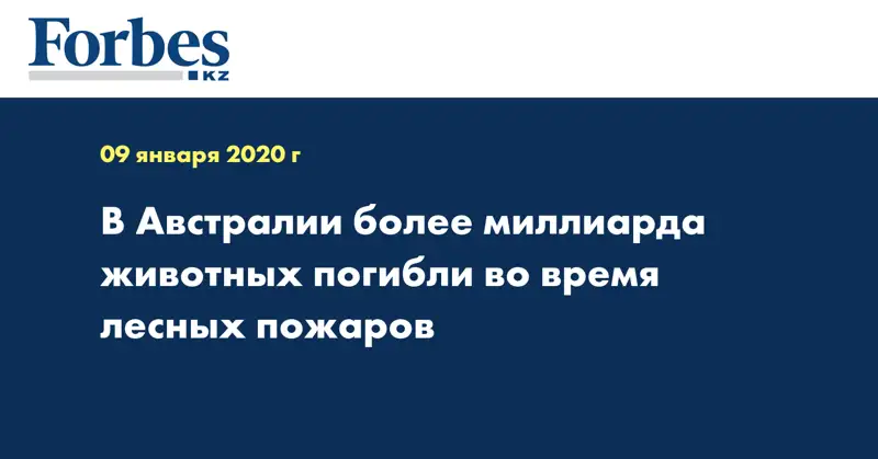 В Австралии более миллиарда животных погибли во время лесных пожаров