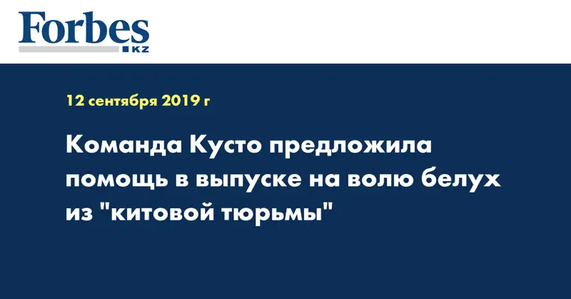 Команда Кусто предложила помощь в выпуске на волю белух из 