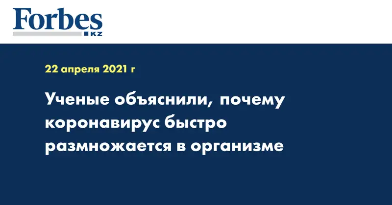 Ученые объяснили, почему коронавирус быстро размножается в организме
