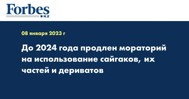 До 2024 года продлен мораторий на использование сайгаков, их частей и дериватов