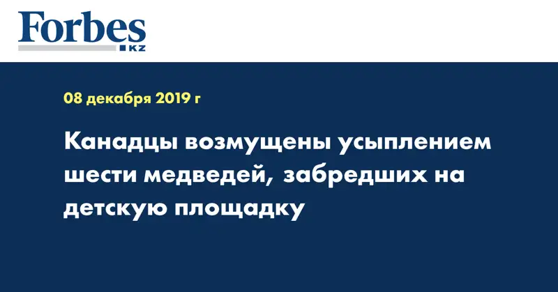 Канадцы возмущены усыплением шести медведей, забредших на детскую площадку