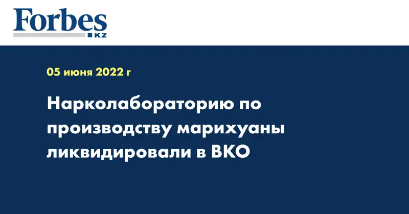 Нарколабораторию по производству марихуаны ликвидировали в ВКО