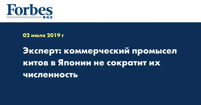 Эксперт: коммерческий промысел китов в Японии не сократит их численность