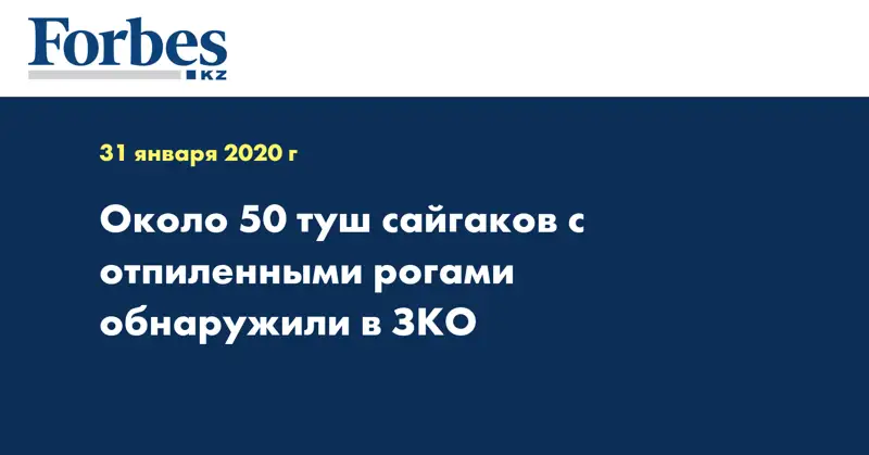  Около 50 туш сайгаков с отпиленными рогами обнаружили в ЗКО