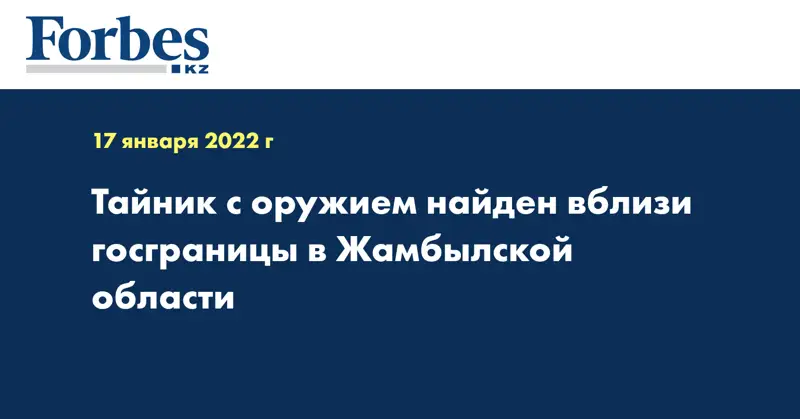 Тайник с оружием найден вблизи госграницы в Жамбылской области